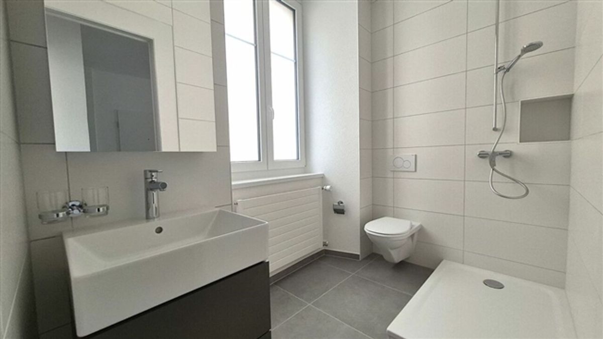 Vollständig renoviertes 2.5-Zimmer-Apartment - 3