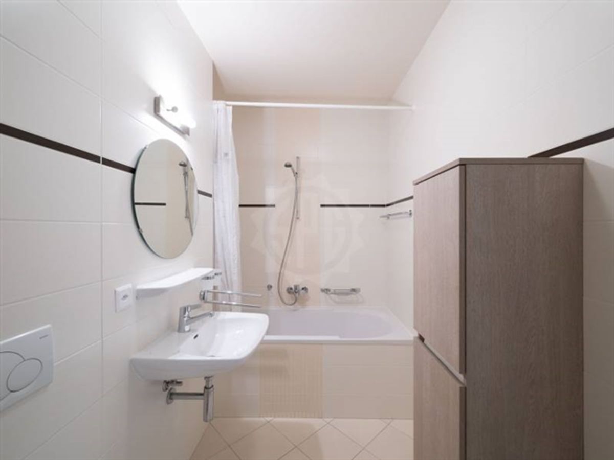 Schöne Wohnung - Carouge GE - 9