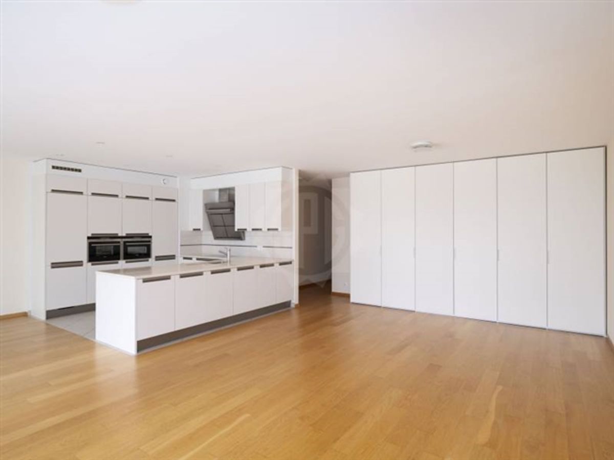 Schöne Wohnung - Carouge GE - 2