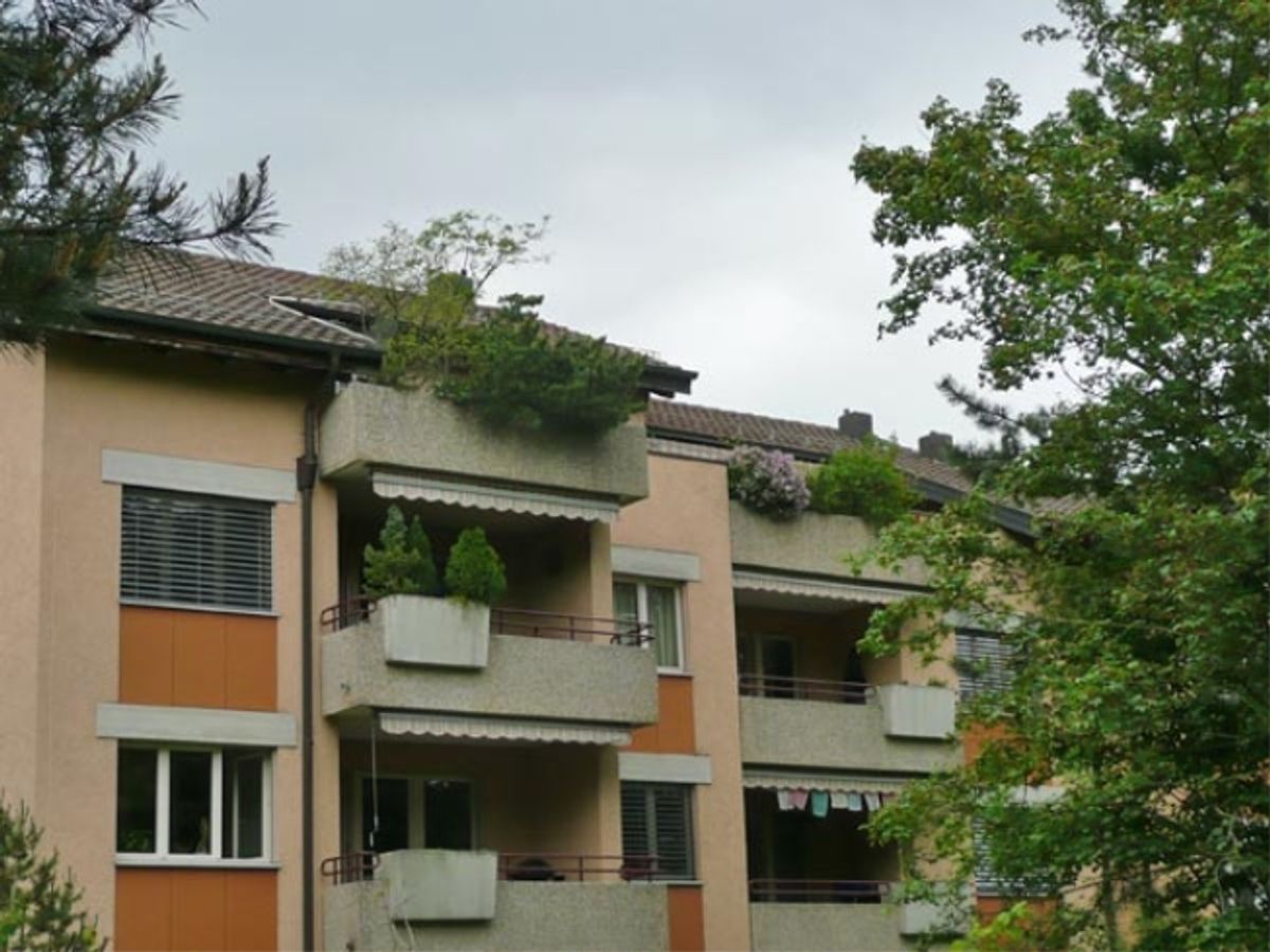Modern wohnen in Schwerzenbach – frisch saniert & bestens angebunden! - 0
