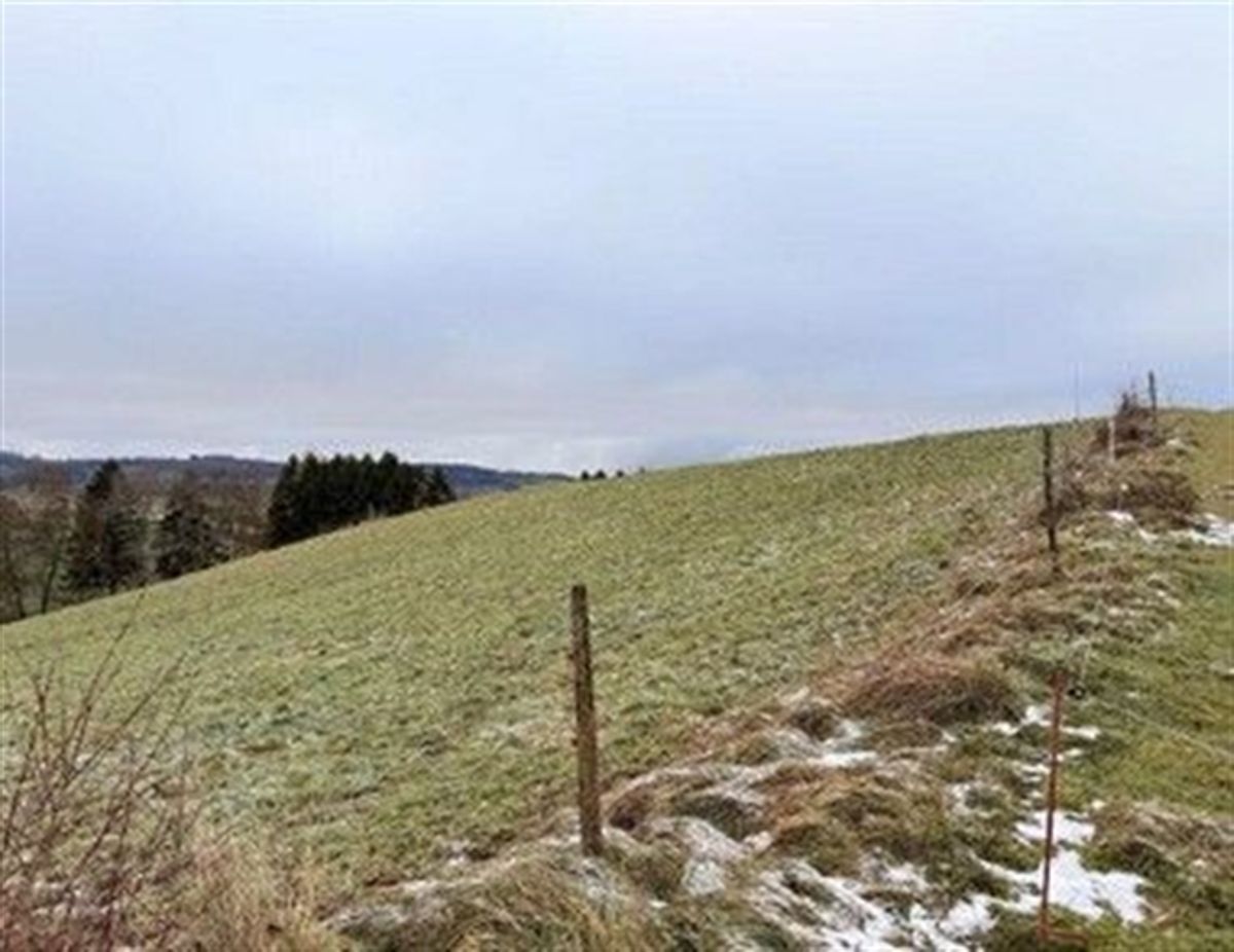 *Feld, Wiese, Weide* - 0