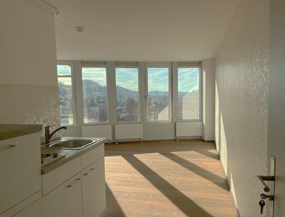 1 Zimmer Wohnung - 0
