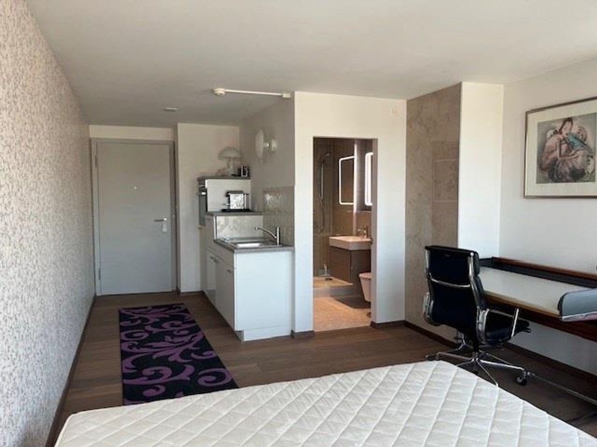 1 Zimmer Wohnung - 4