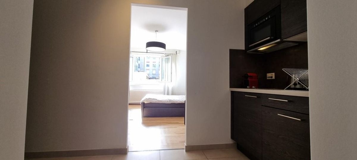 Superbe studio meublé au coeur de Genève ! - 3