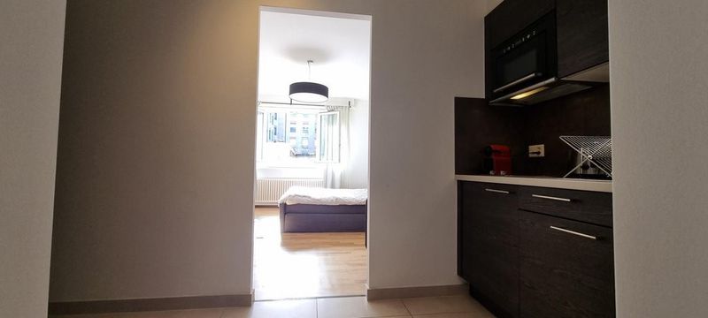 Superbe studio meublé au coeur de Genève ! - 4