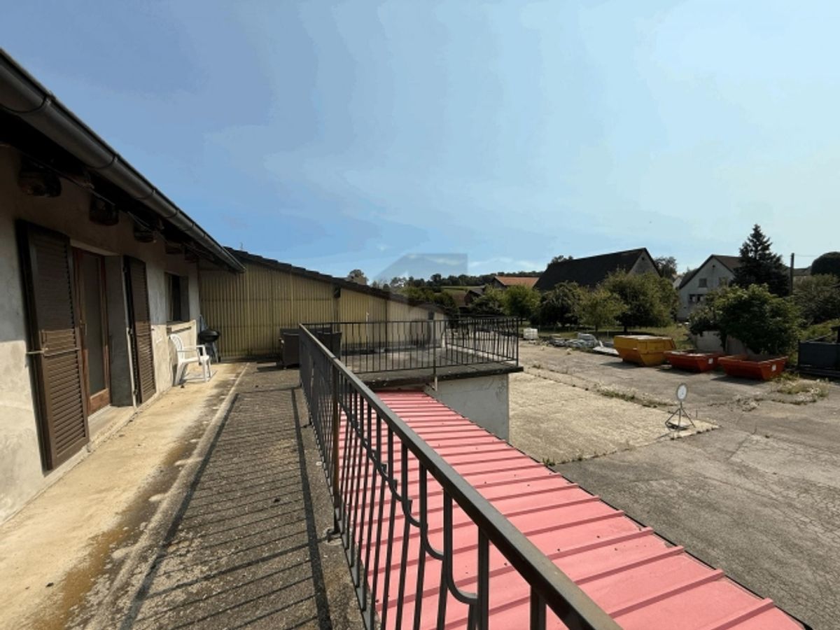 ALERTE INVESTISSEUR - 3