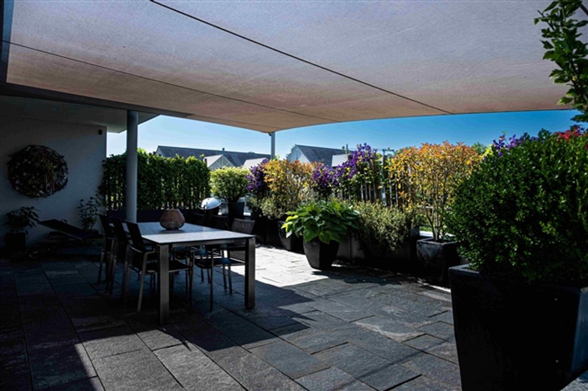 3.5-Zimmer-Attika-Feeling umlaufender Terrasse - 10