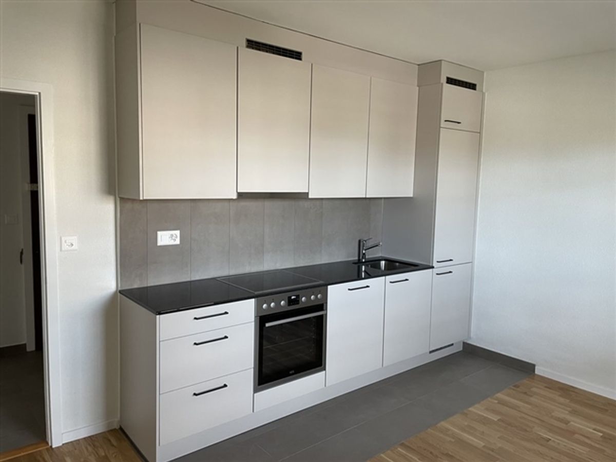 Wunderschöne renovierte 2-Zimmer-Wohnung im Stadtzentrum von Prilly - 0