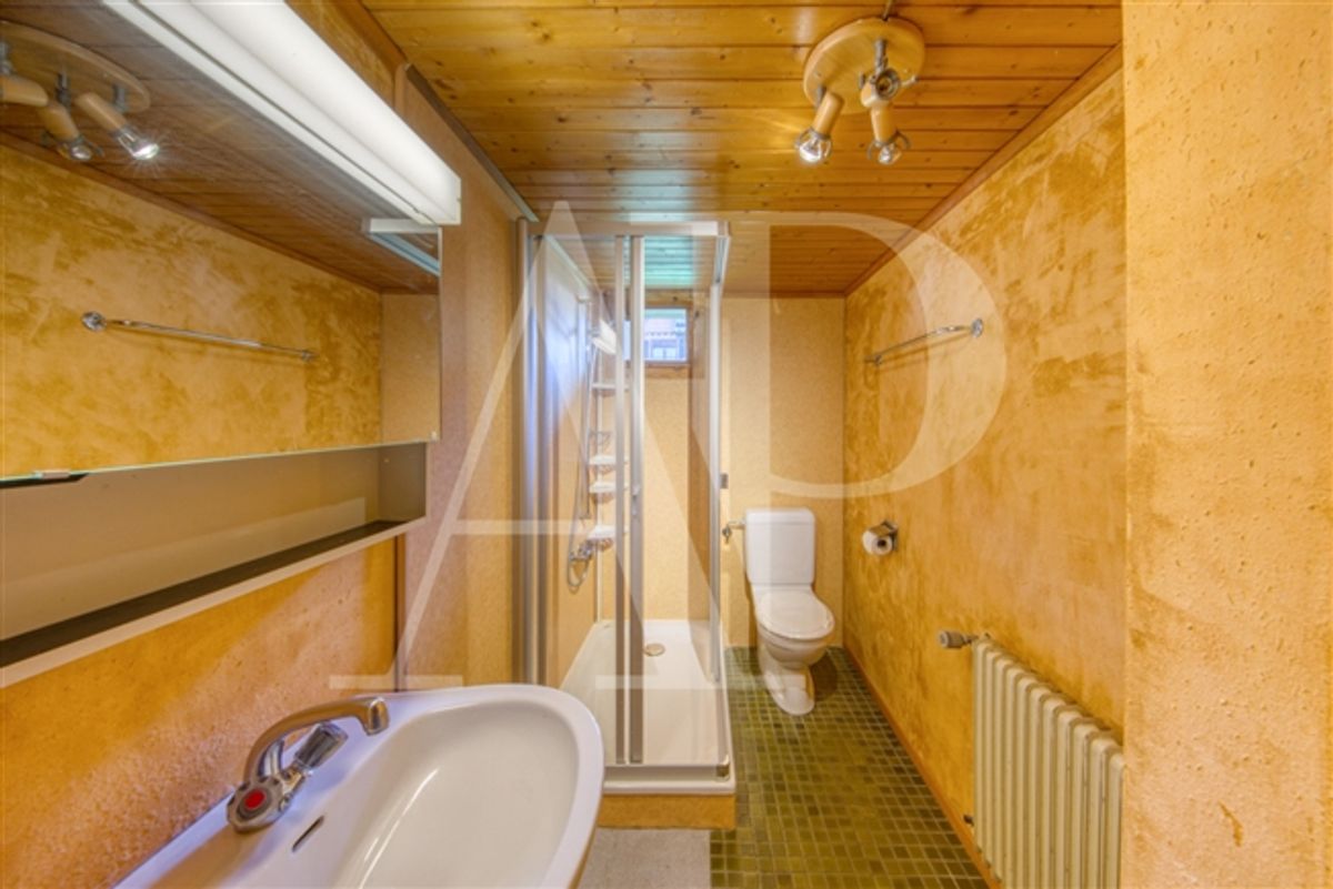Altes Charme-Apartment im Herzen von Champéry - 6