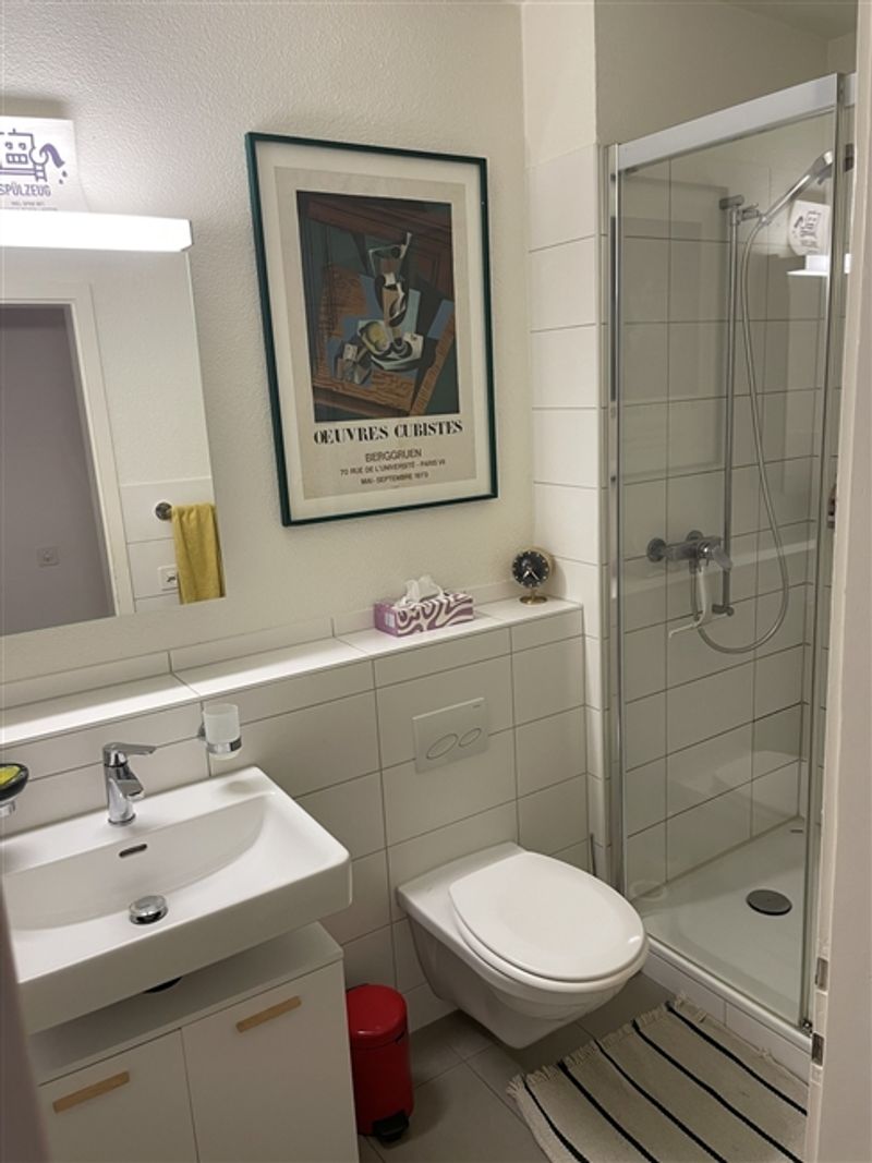 2½ ZI-WOHNUNG IN BASEL - SPALEN, MÖBLIERT, TEMPORÄR - 6