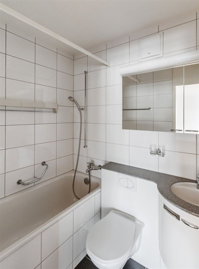 3.5 Zimmer-Wohnung in Winterthur mieten - 5