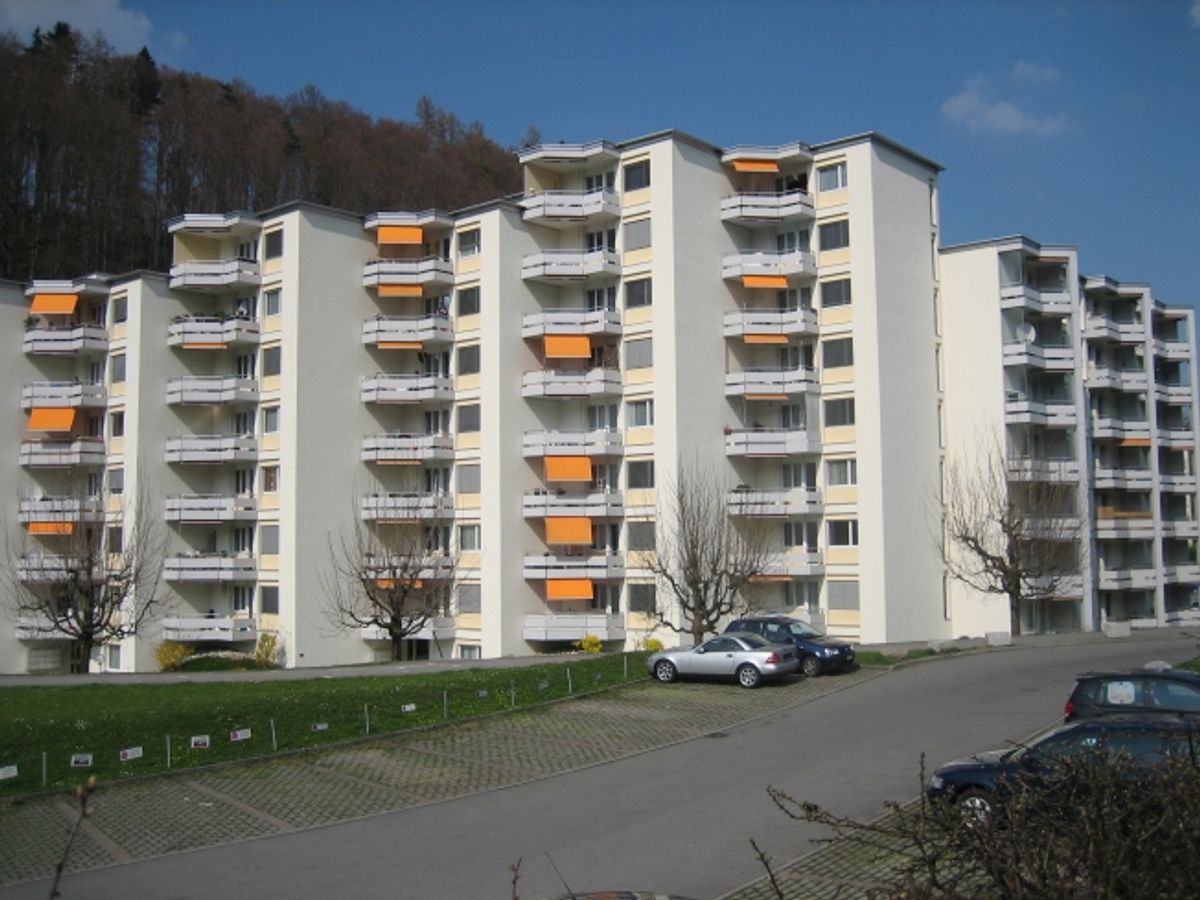 Ihr neues Zuhause! - 0