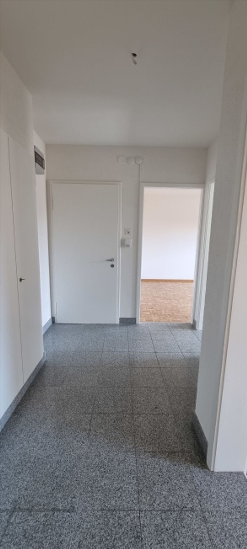 Ihr neues Zuhause mit Blick auf Basel - 5