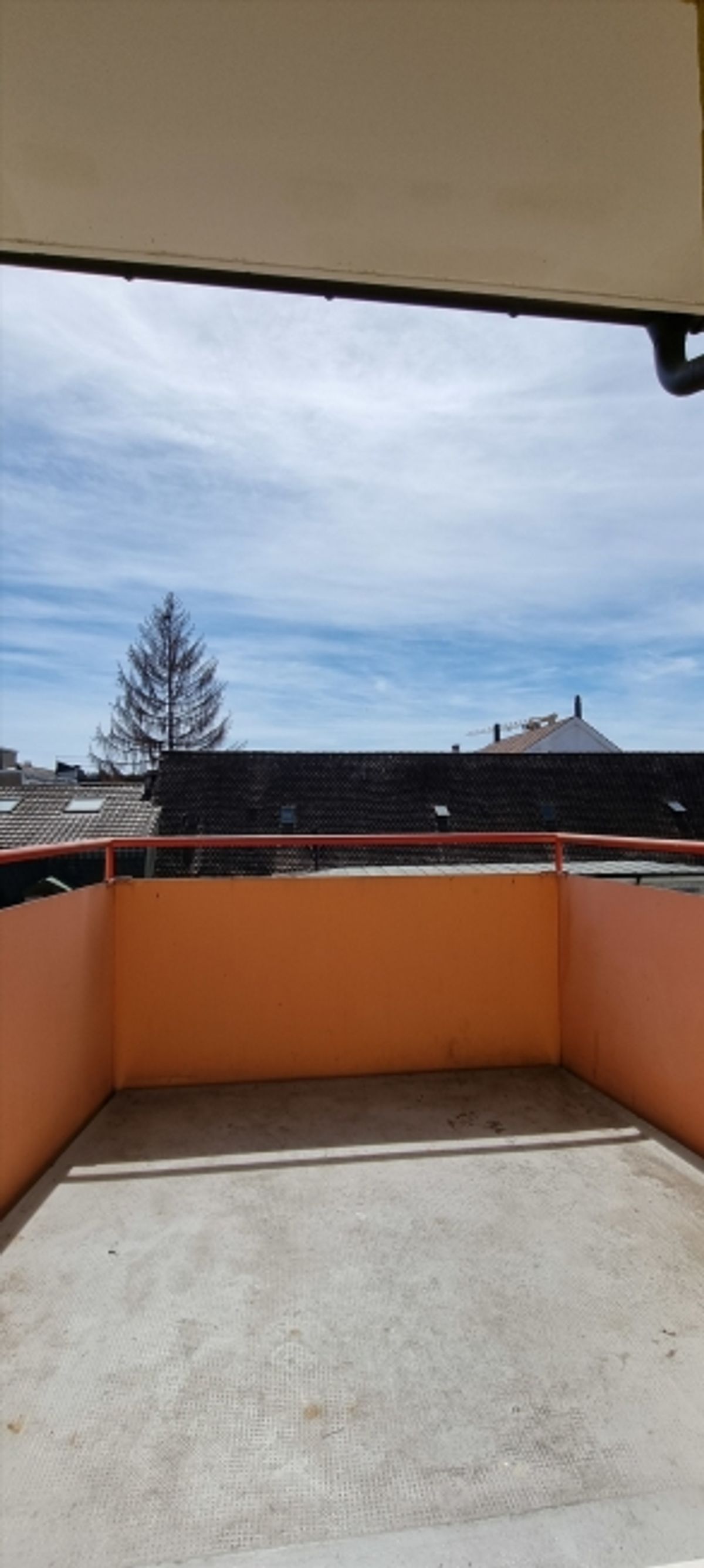 Ihr neues Zuhause mit Blick auf Basel - 5