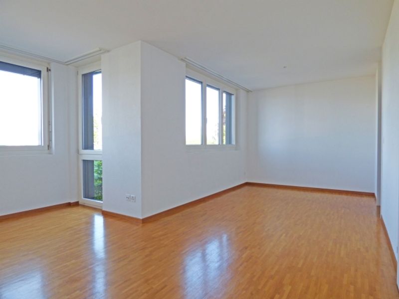 Traum Zuhause am Zürichsee - 3