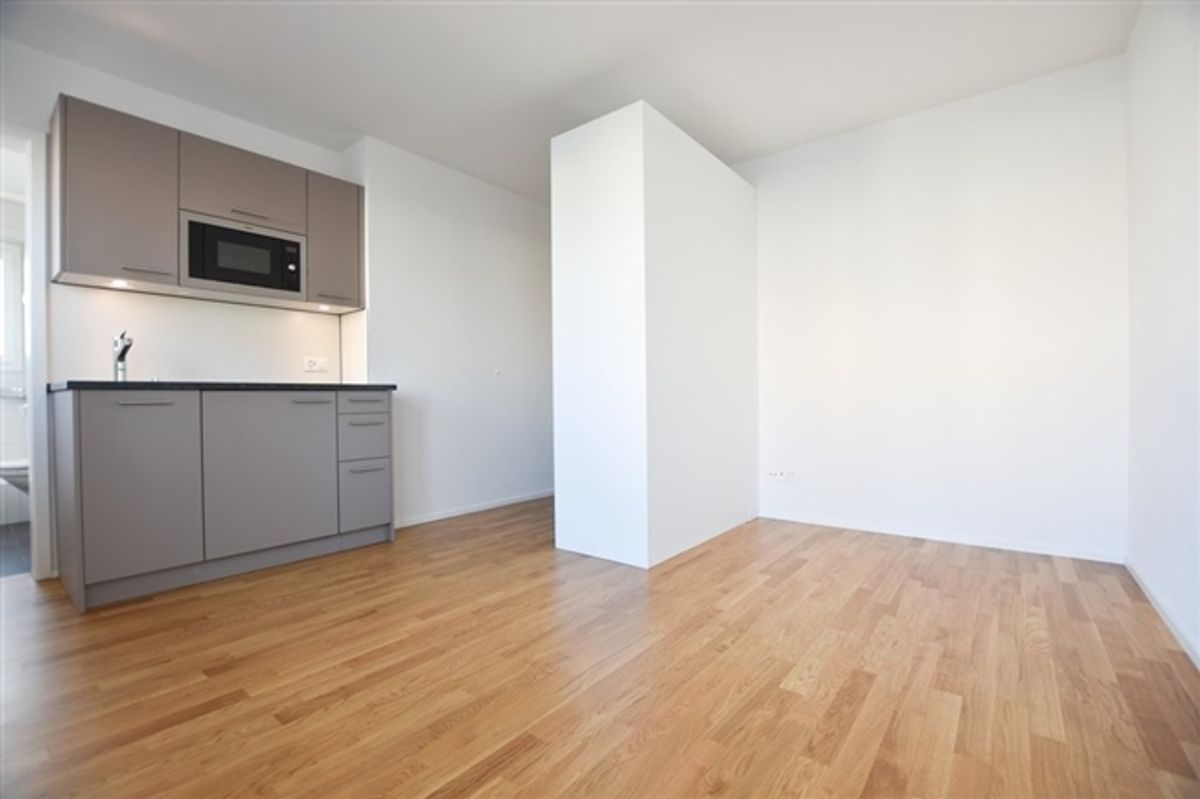 Moderne Wohnung im Wankdorf - 0