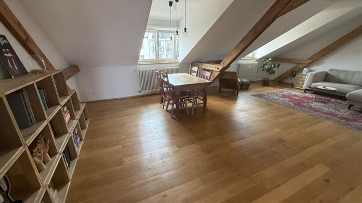 2½ ZIMMER-LOFT IN BASEL - ST. JOHANN, MÖBLIERT, TEMPORÄR - 1