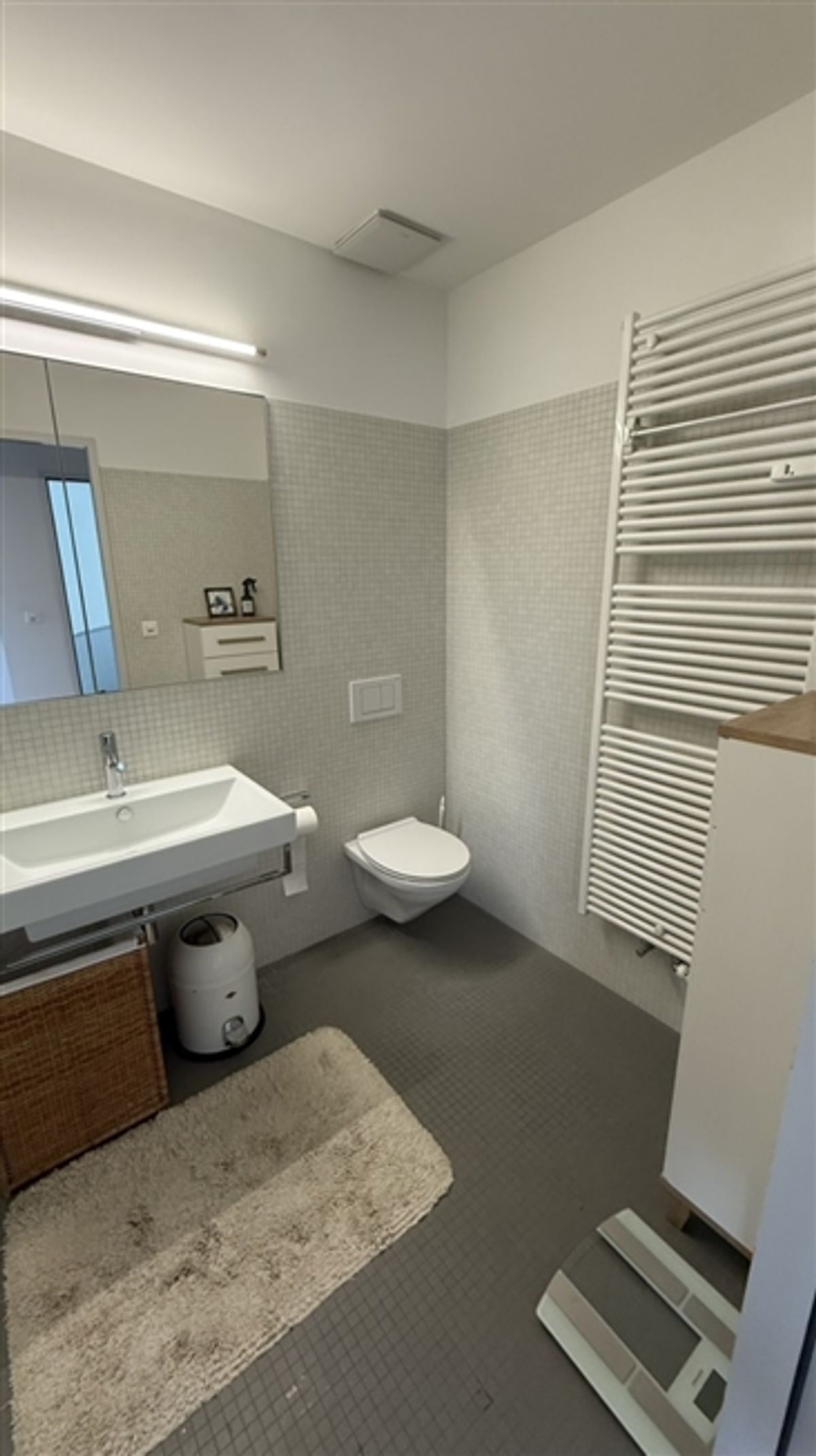 2½ ZIMMER-LOFT IN BASEL - ST. JOHANN, MÖBLIERT, TEMPORÄR - 8