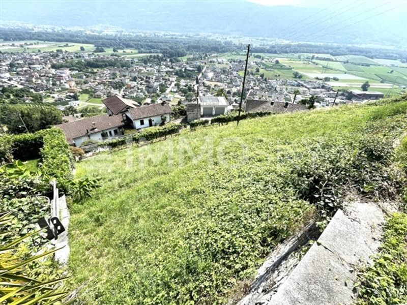 Ungehindertes Panorama und maximaler Sonnenschein - 5