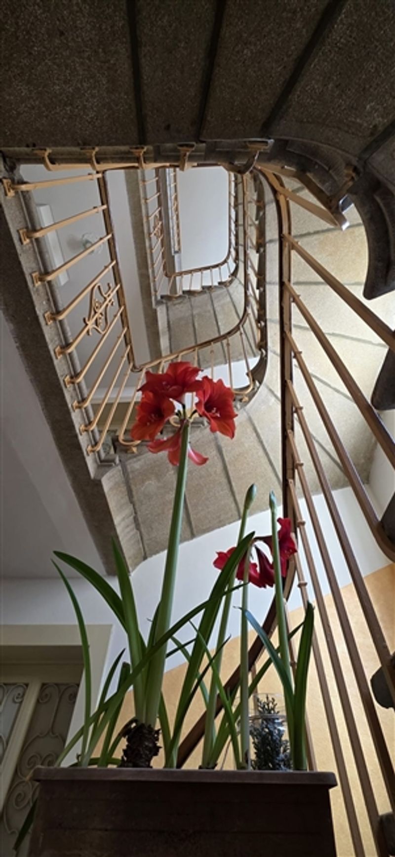 Investitionsimmobilie in Lausanne Beaulieu – 8 vermietete Wohnungen - 5