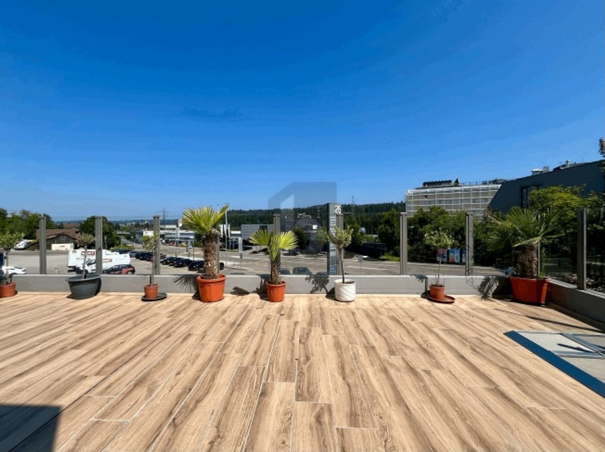 FRISCH RENOVIERT MIT GROSSER TERRASSE - 0