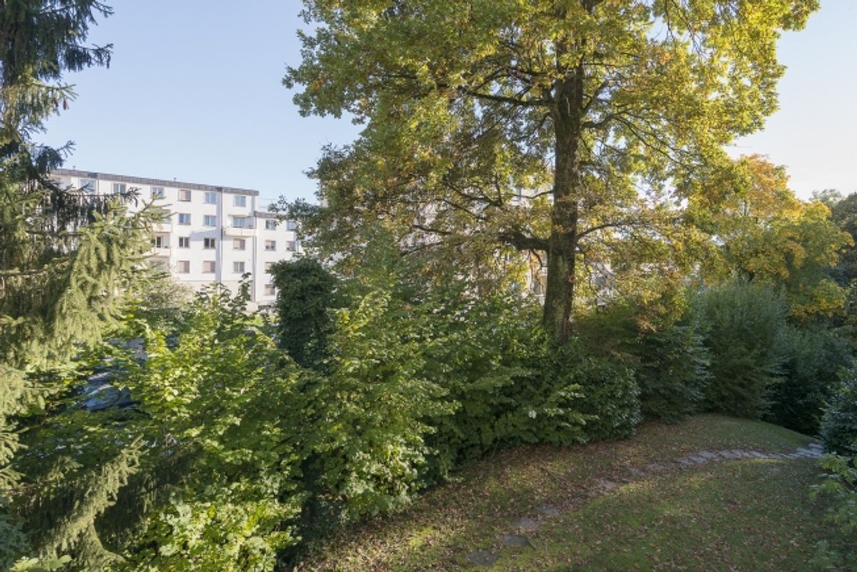 Superbe logement, entièrement rafraîchi ! - 1