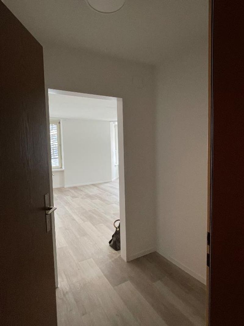 1 Zimmer Wohnung - 3