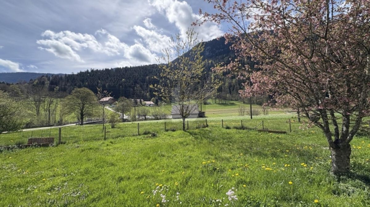 DANS UN ENDROIT IDYLLIQUE ET CALME - 1
