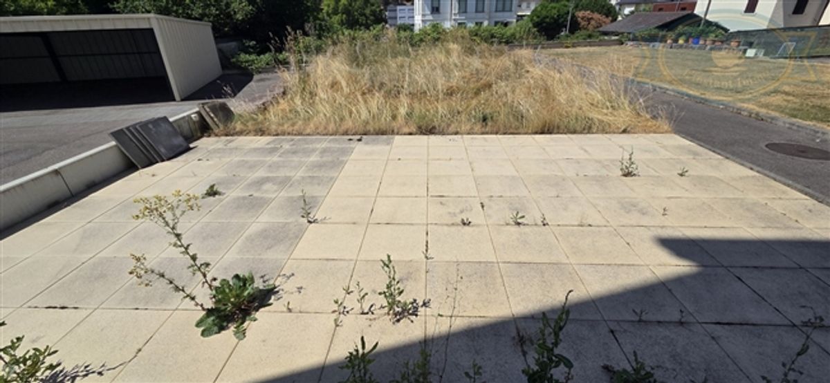 Renovierte Wohnung mit Terrasse und Garten, separater Eingang - 7