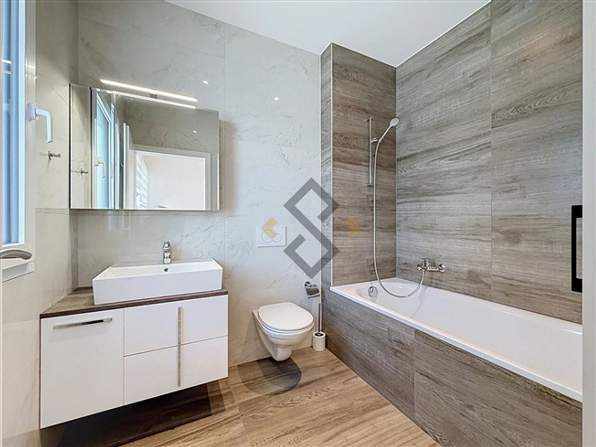 Haus 4,5 Zimmer 30 min Lausanne 35 min Freiburg - 10