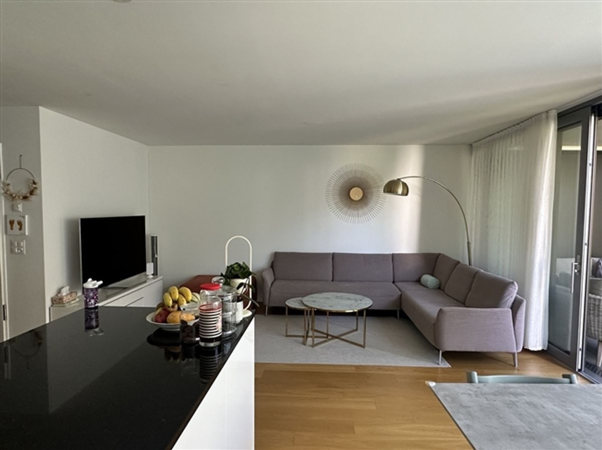 Moderne 3,5 ZimmerWohnung mit Südwest-Balkon nahe Stadt und Rhein - 0