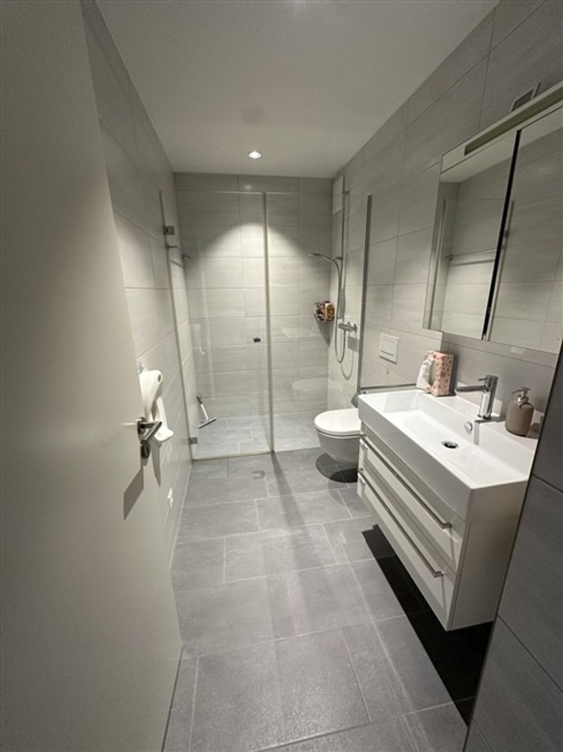 Moderne 3,5 ZimmerWohnung mit Südwest-Balkon nahe Stadt und Rhein - 7