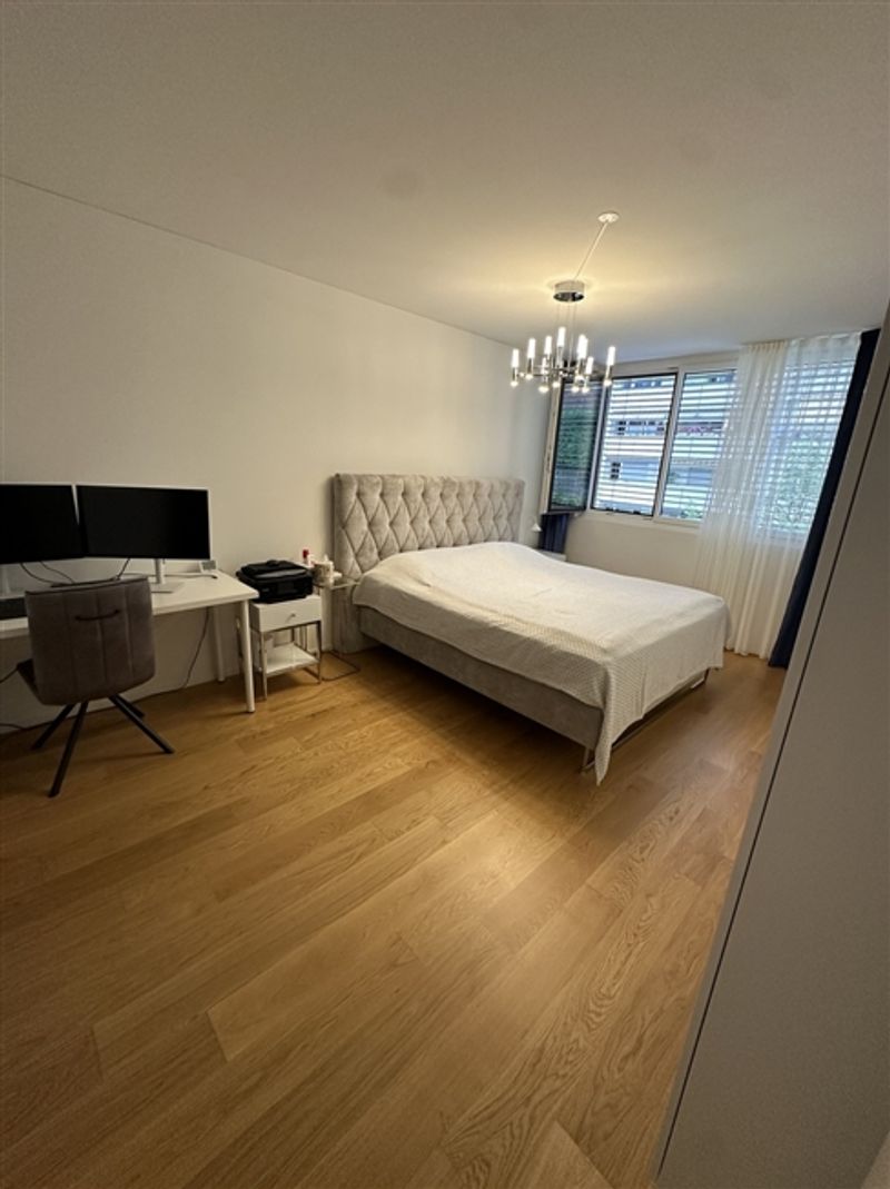 Moderne 3,5 ZimmerWohnung mit Südwest-Balkon nahe Stadt und Rhein - 9