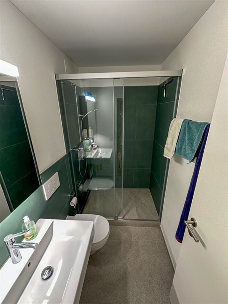 4½ ZI-WOHNUNG IN LUZERN, MÖBLIERT, TEMPORÄR - 8