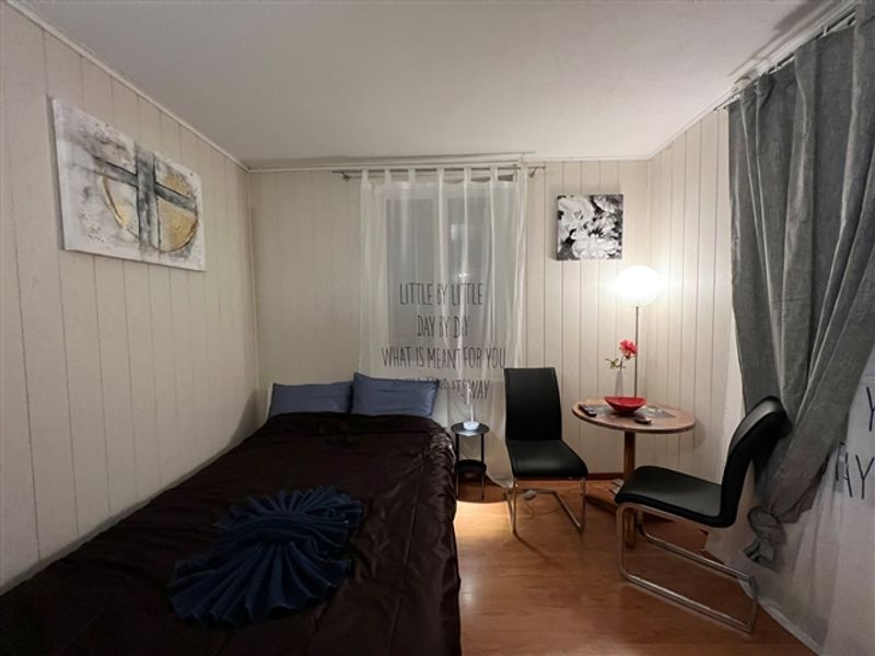 Gemütliches, möbliertes Studio-Apartment in Wallisellen ab dem 19. Juli 2026 verfügbar - 4