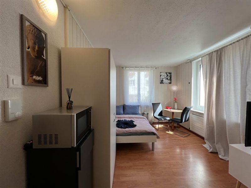 Gemütliches, möbliertes Studio-Apartment in Wallisellen ab dem 19. Juli 2026 verfügbar - 5
