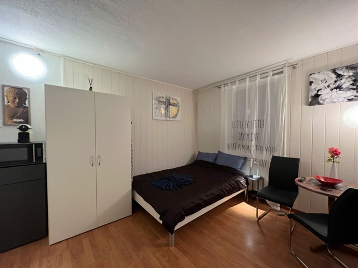 Gemütliches, möbliertes Studio-Apartment in Wallisellen ab dem 19. Juli 2026 verfügbar - 1