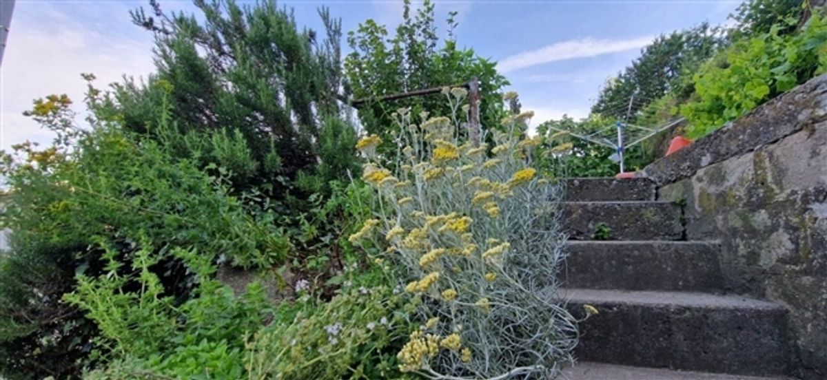 4.5-Zimmer-Haus mit Dachterrasse in Gams kaufen - 6