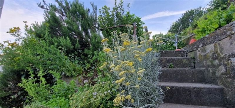 4.5-Zimmer-Haus mit Dachterrasse in Gams kaufen - 7