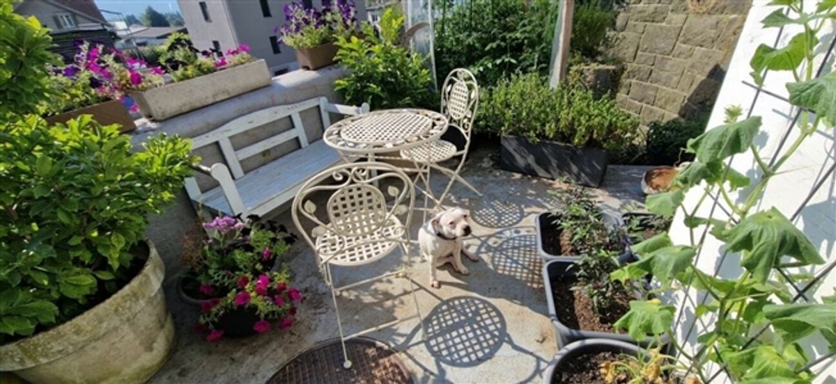 4.5-Zimmer-Haus mit Dachterrasse in Gams kaufen - 7