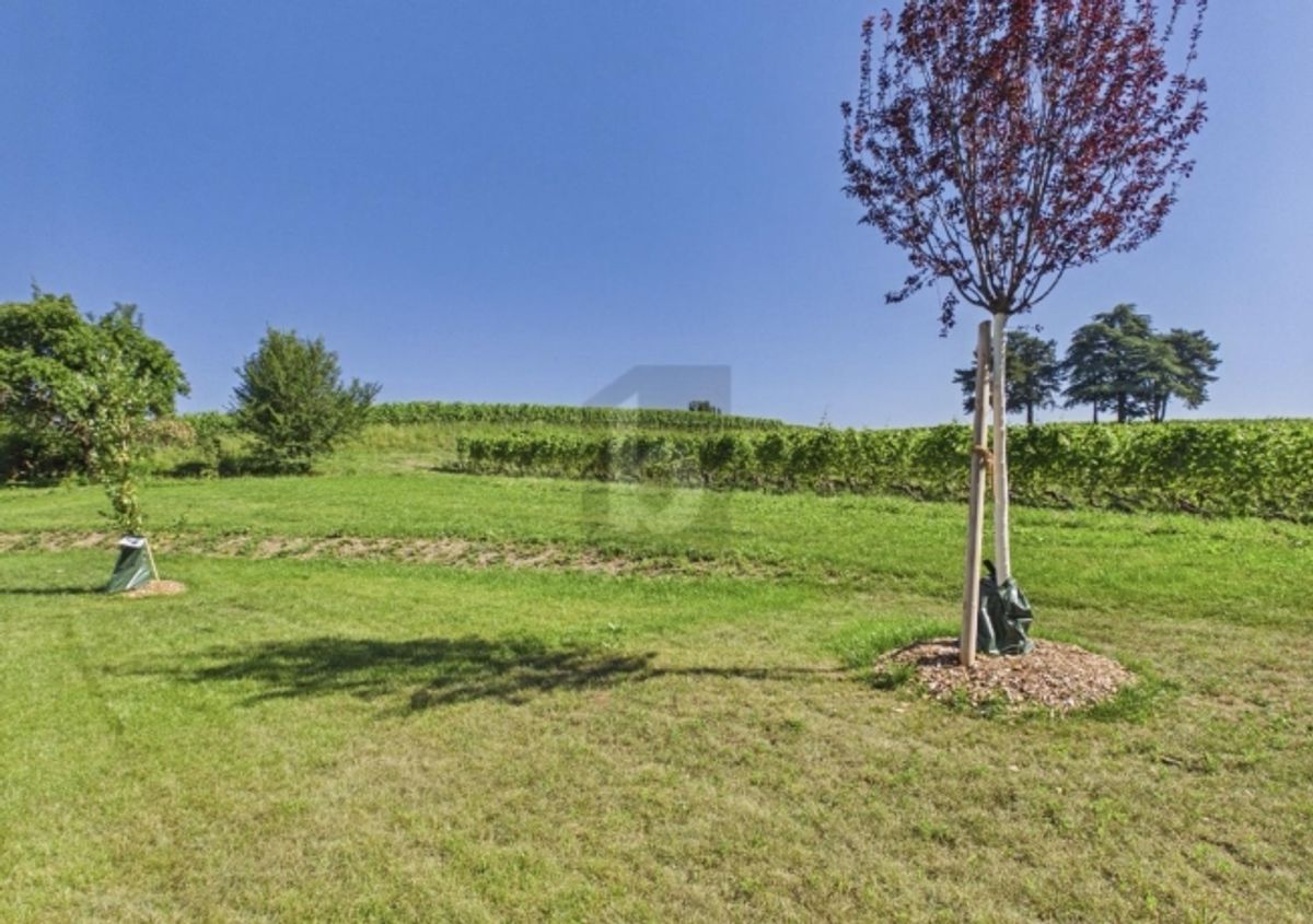 RÉNOVÉE AVEC JARDIN, AU CALME DANS LE VIGNOBLE - 0