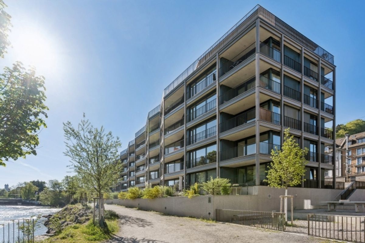 Stillvoll Wohnen mit Reussblick an zentraler Lage - 0