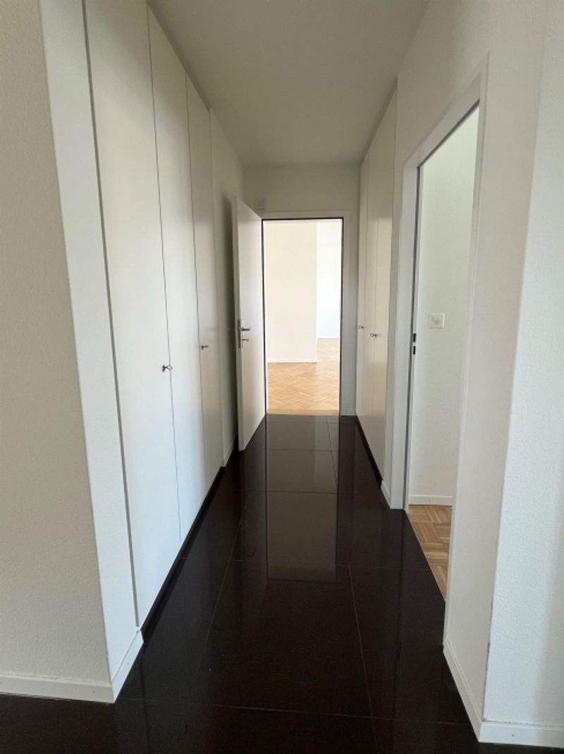 Wohnen mit Stil - grosszügige Attikawohnung im Geissmattquartier - 5