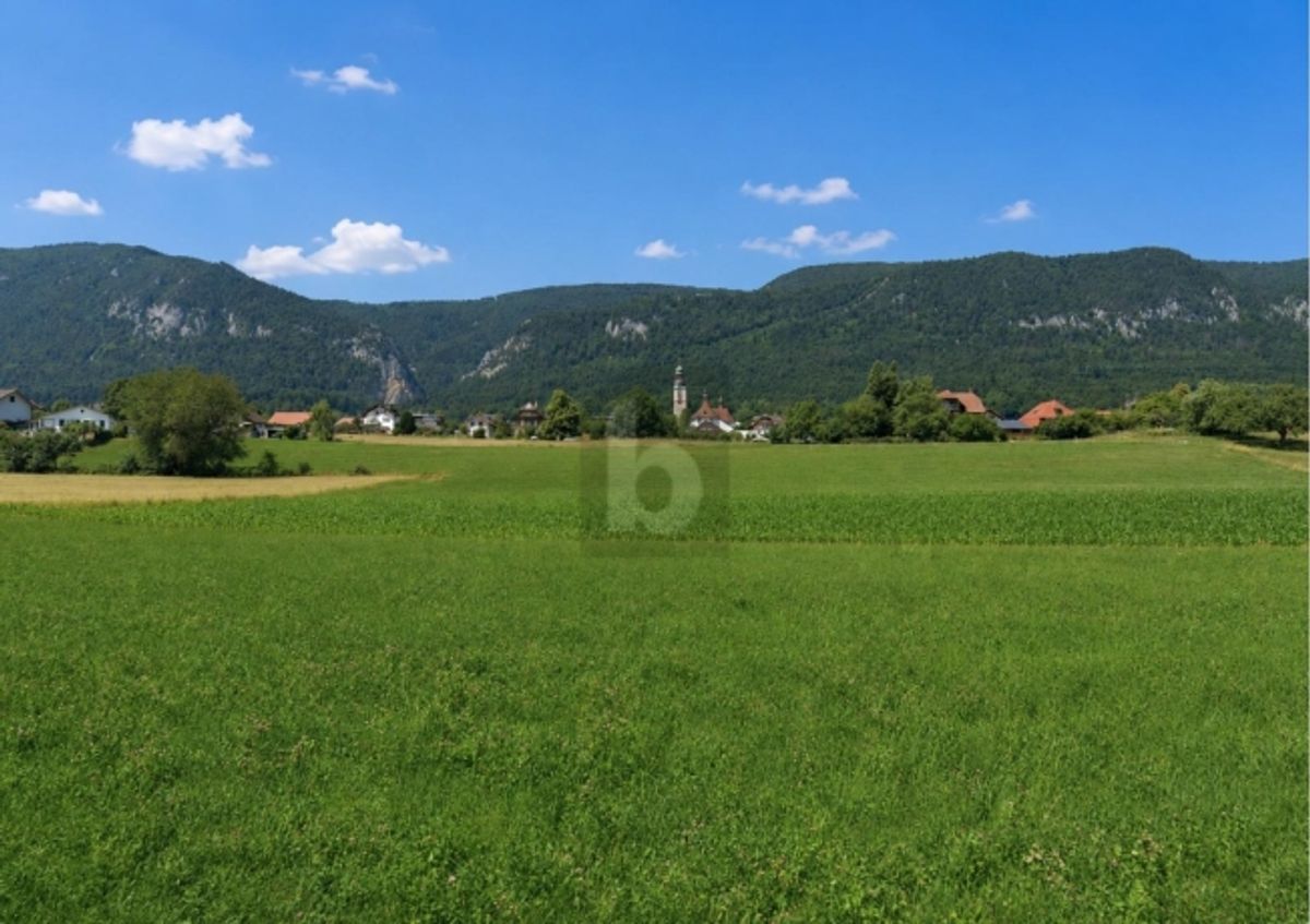 RUHEPOL MIT JURA- UND ALPENPANORAMA - 0