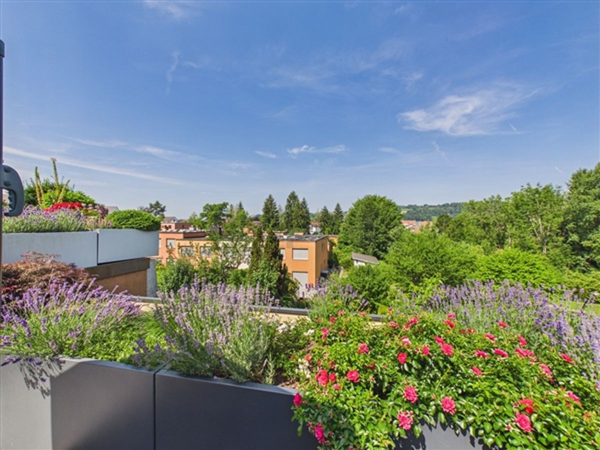 Gemütlicher, sonniger Garten und wohnliche Atmosphäre in familienfreundlicher Umgebung - 4
