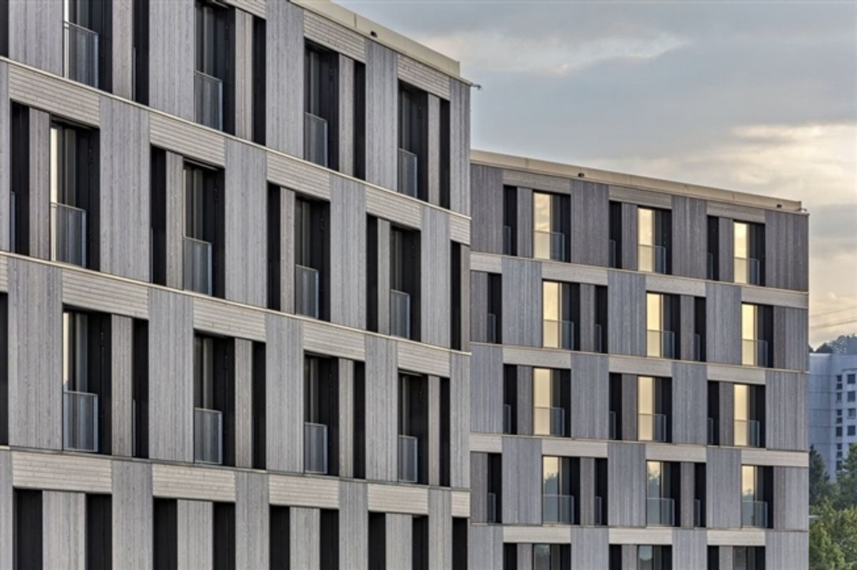 Im Waldacker - Modern wohnen zwischen Stadt und Natur - 4