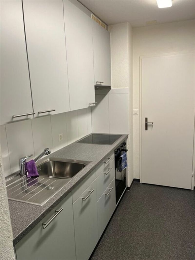 Renovierte Wohnung in idyllischer und ruhiger Umgebung - 9