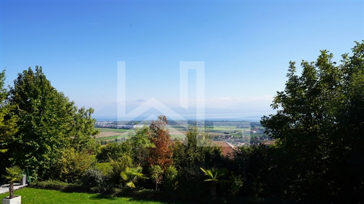 Schöner zeitgenössischer Panoramablick - 11