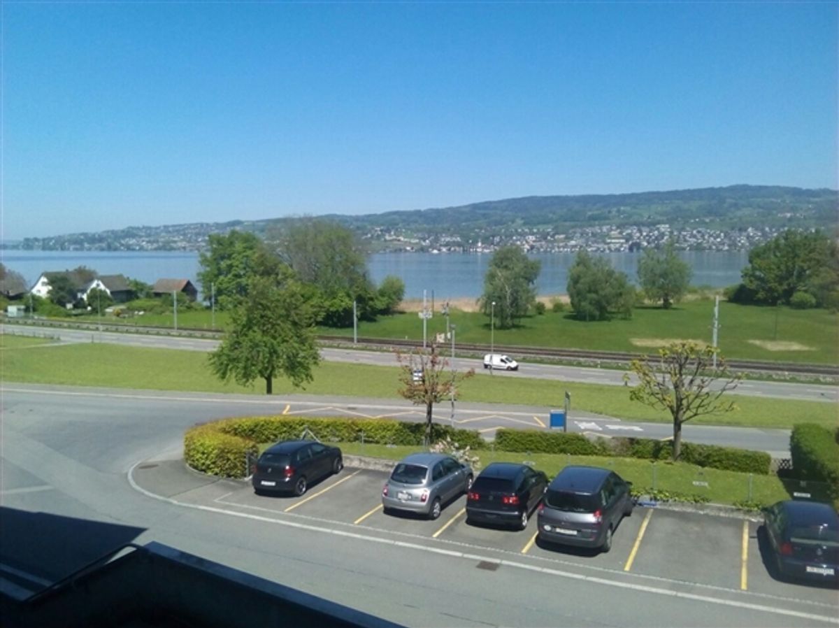 Traumsicht auf den Zürichsee - 0