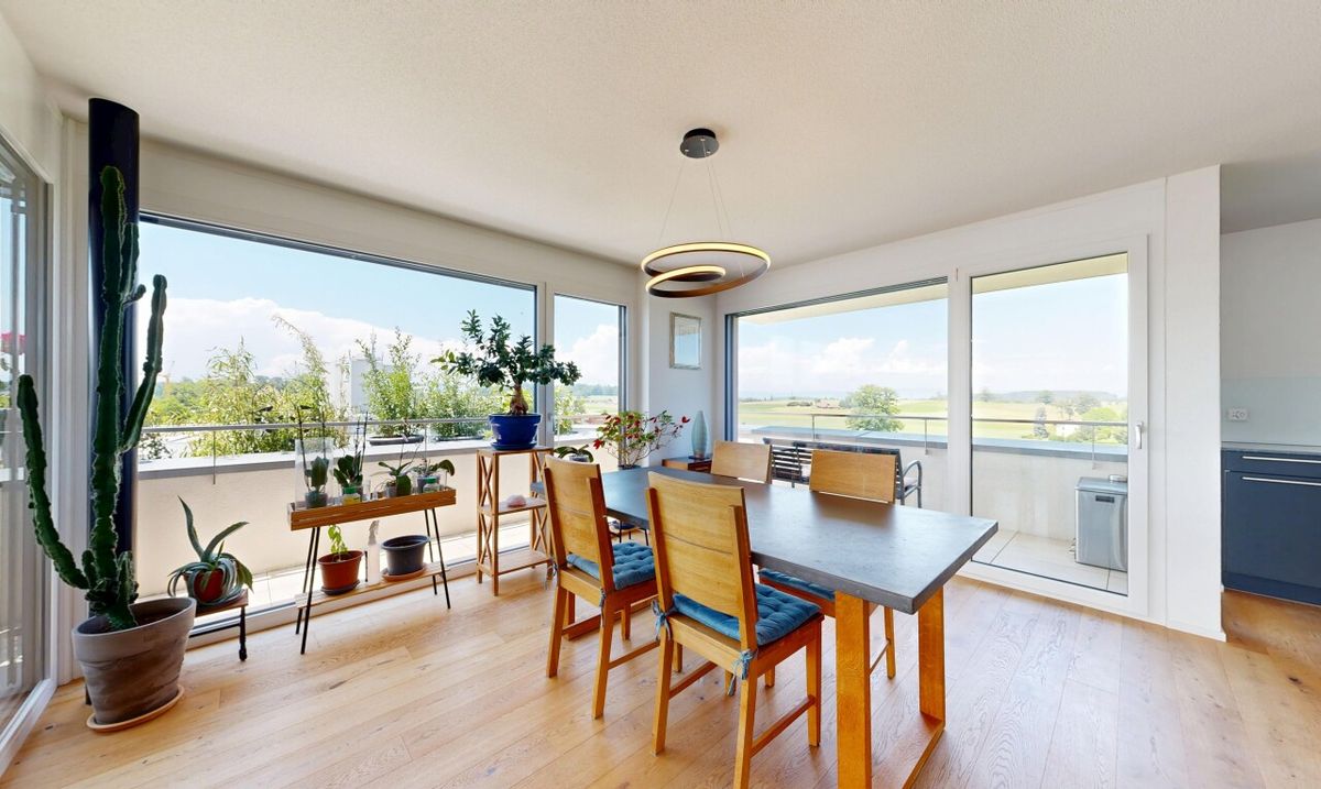 An exceptional penthouse with a panoramic terrace - 3